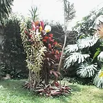 Villa Alice B&B