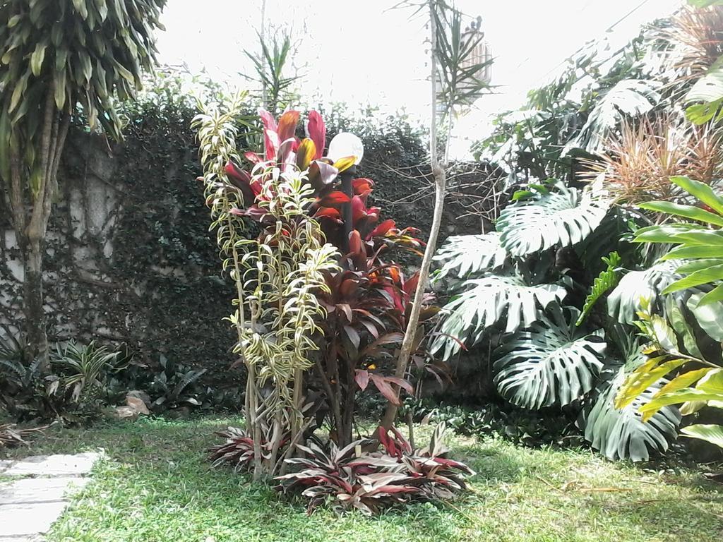 Alice Bed & Breakfast Rio de Janeiro